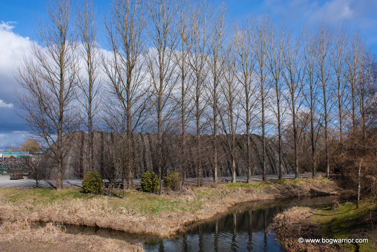 The “Giant Jelly Sweet”&nbsp;building