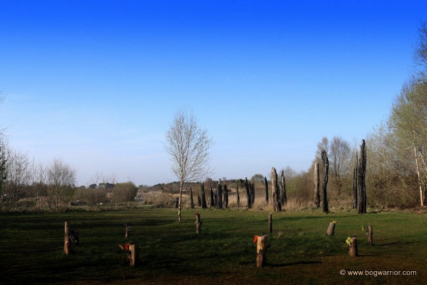 Bog Track By Johan Sietzema