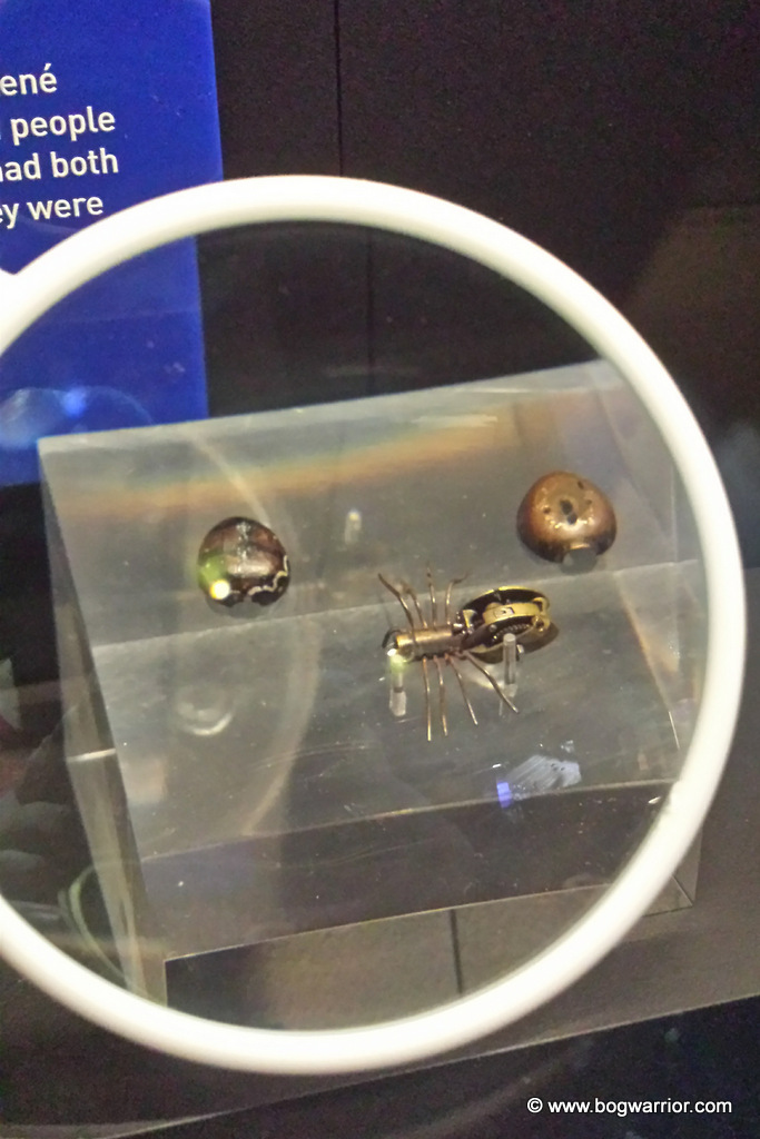 Insect automatons. Sort of