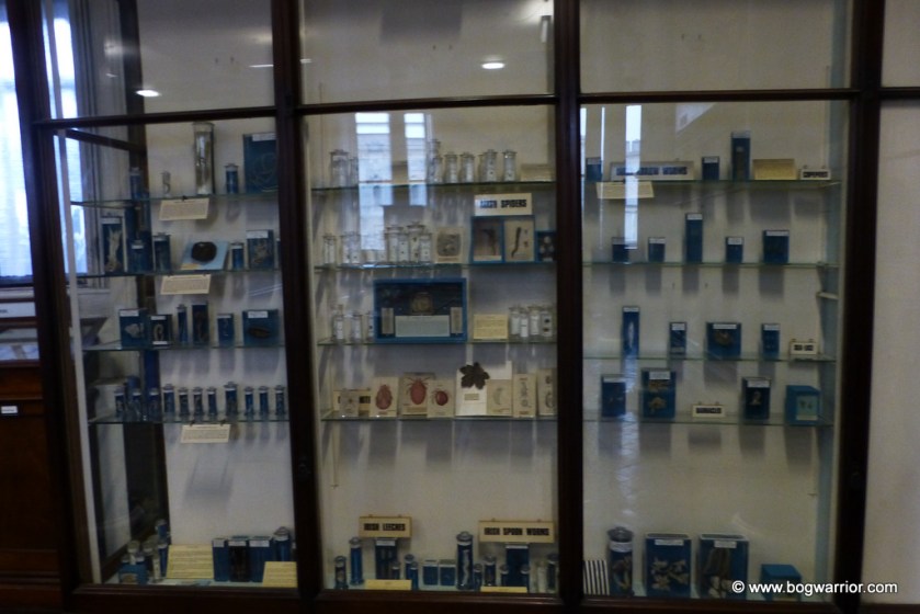 Interior of the Natural History Museum