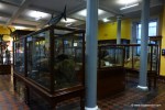 Interior of the Natural History Museum