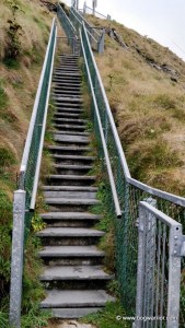 mizen_head_99_steps