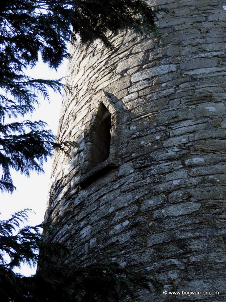 Window in Timahoe Round Tower