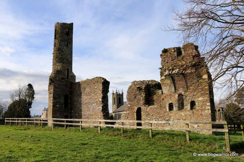 Ruins of Abbey and Round Tower in Ferns. St. Edan's Cathedral is in the background