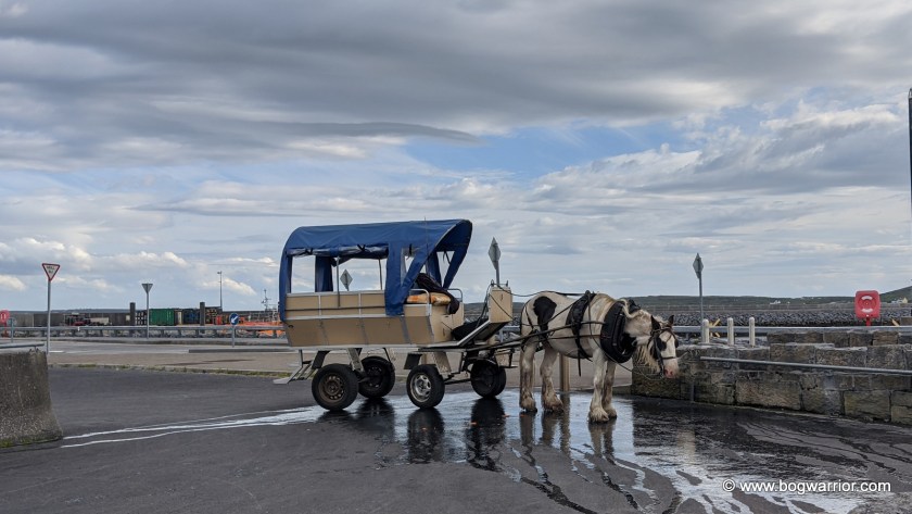 Horse and Cart on Inis Mór