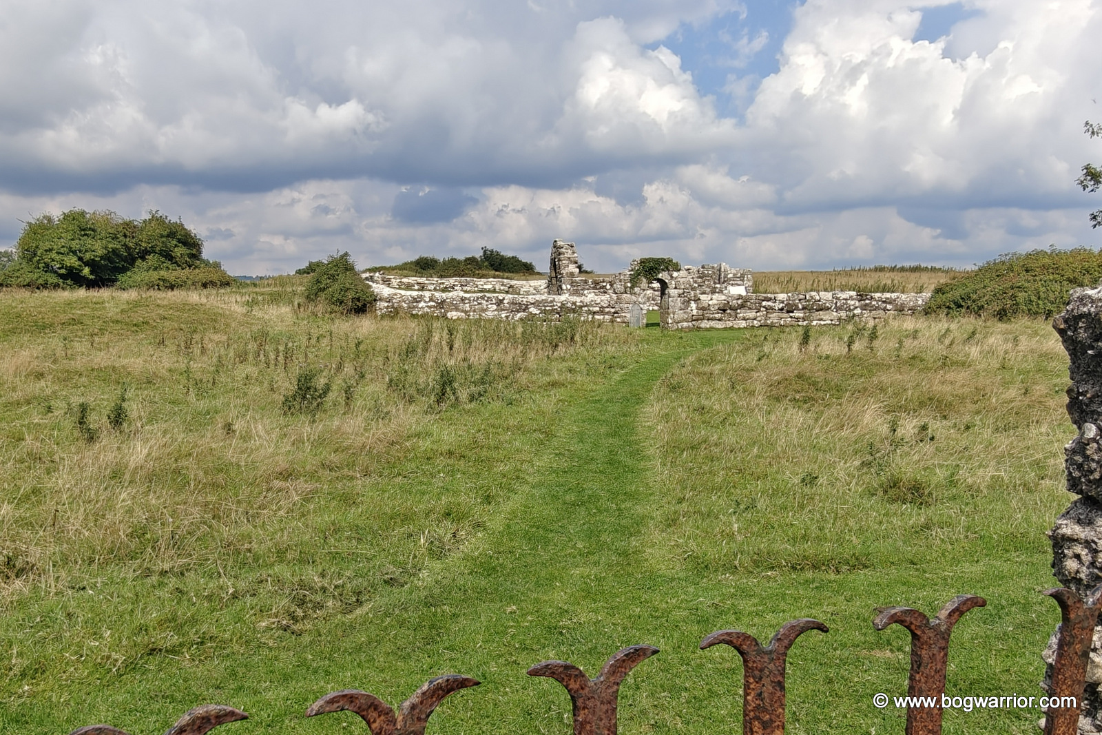 St Brigid's Church and enclosure