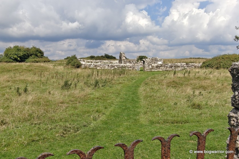 St Brigid's Church and enclosure